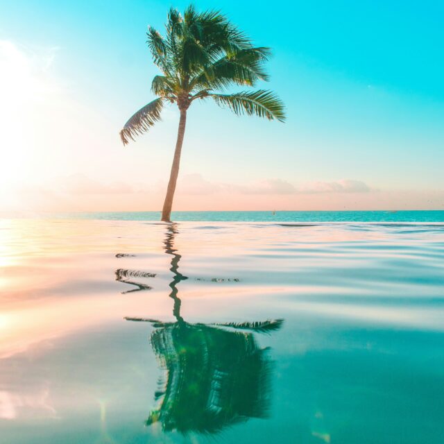 Share Jesus This Easter 2026